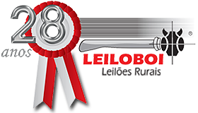 LeiloBoi Leilões Rurais